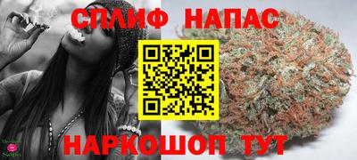 гашик Можга