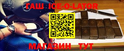 гашик Можга