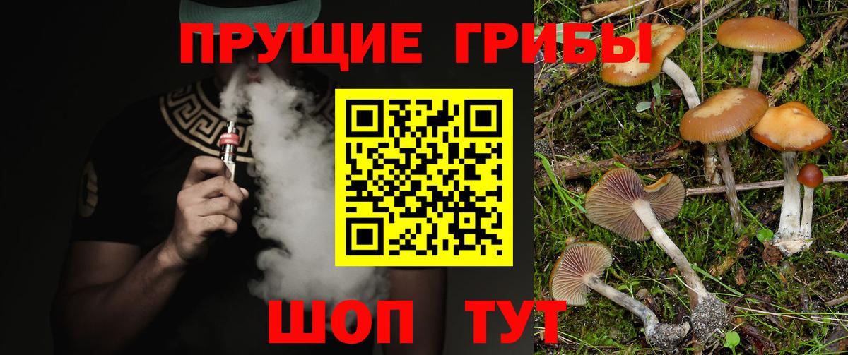 Галлюциногенные грибы Cubensis Тулун